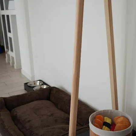 Uni * بيرغامو